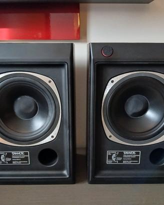 Casse Tannoy Ascot T145
