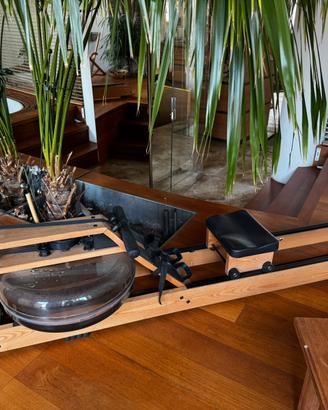 Vogatore Waterrower