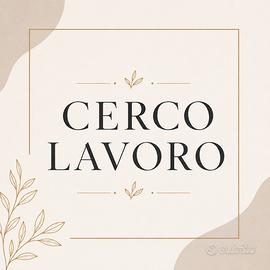 Social media manager