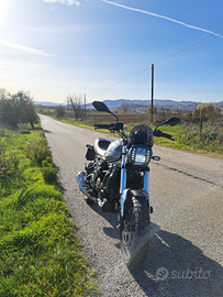 Voge trofeo 300AC 2023