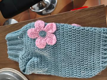 Cappottino per cani all'uncinetto azzurro