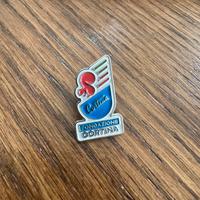 Pin fondazione cortina