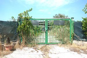 TER. AGRICOLO A EBOLI