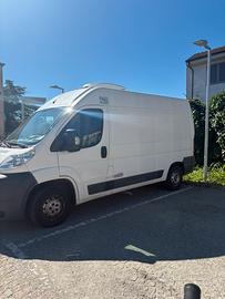 FIAT Ducato cella frigo