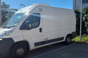 FIAT Ducato cella frigo