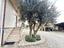 Immagine 27