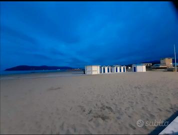 Disponibilità estiva di maggio giugno e luglio