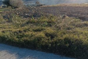 Rif. 243b terreno a citta' sant'angelo