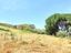 Immagine 15