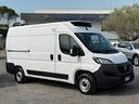 fiat-ducato-35-2-2-mjt-140cv-mh2-frigorifero-20