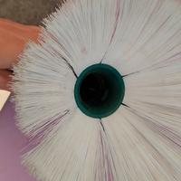 girasole folletto 