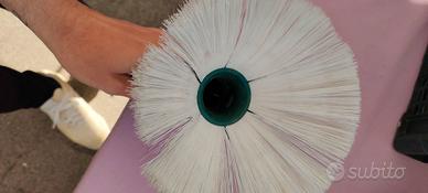 girasole folletto 