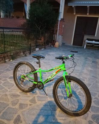 Bici mtb Aurelia 24