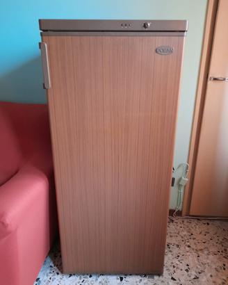 Congelatore verticale