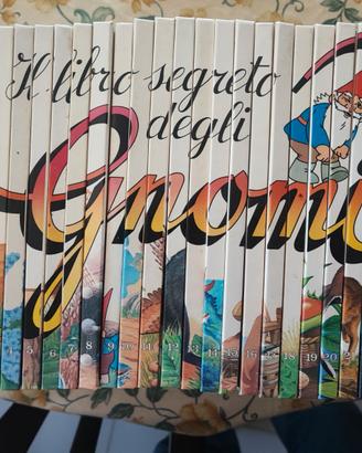Collana il libro segreto degli gnomi