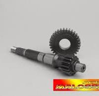 Ingranaggi Primari HTQ Z 16-32 MALOSSI NUOVI
