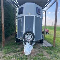 TRAILER DUE CAVALLI