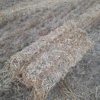 Ballette fieno e paglia