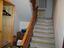 Immagine 25