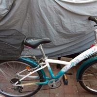 bicicletta per bambina 9/11 anni