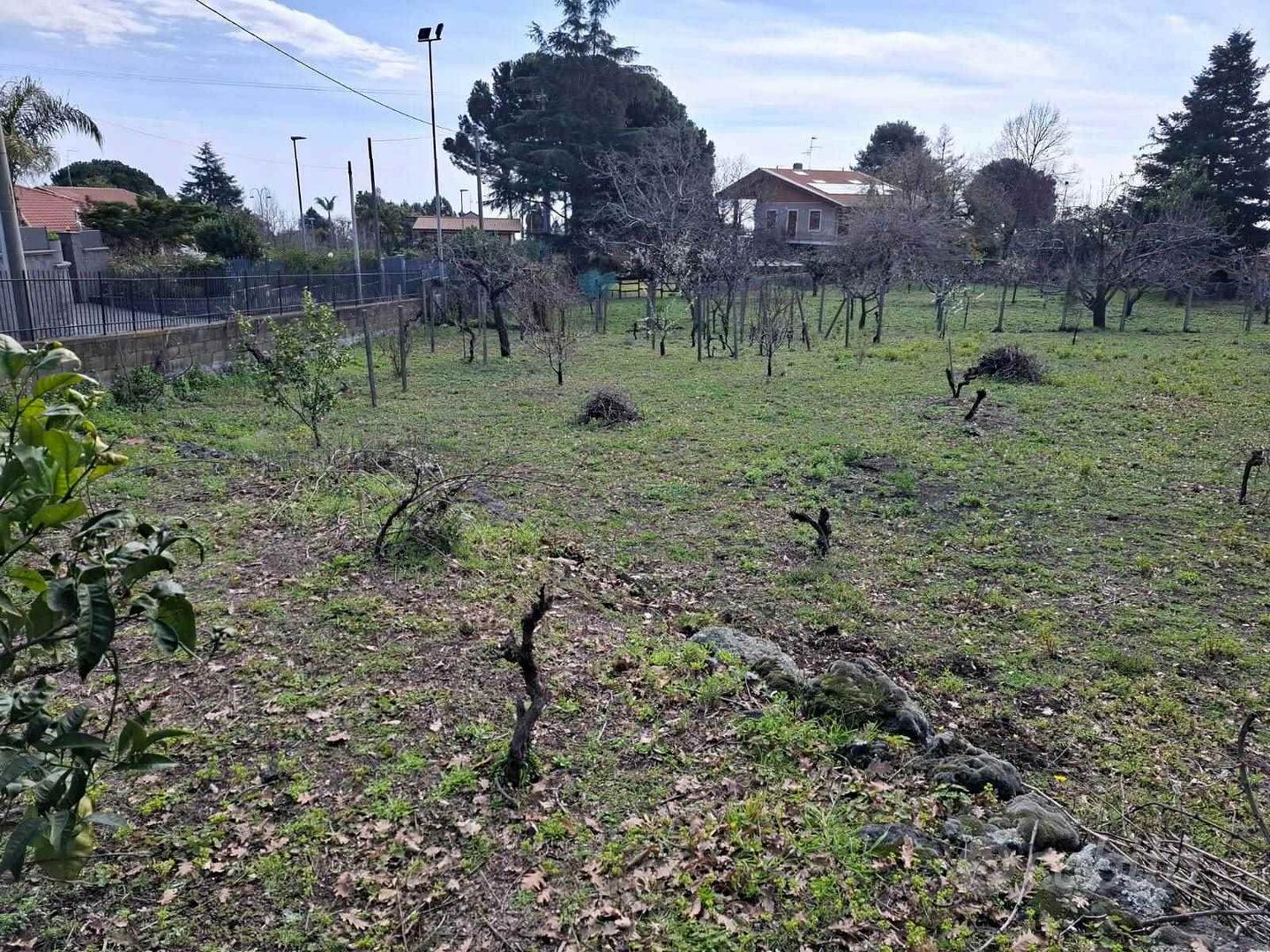 Rif.PS107| area edificabile viagrande - Vista 4