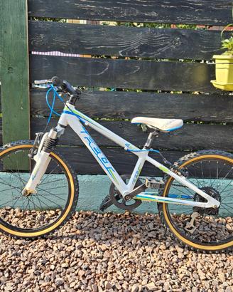 MTB FELT SUPERLITE 20"