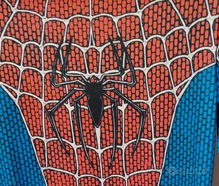 costume spiderman 