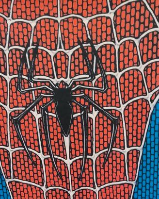 costume spiderman 