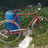 bicicletta Graziella 