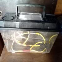 trasportino per piccoli animali