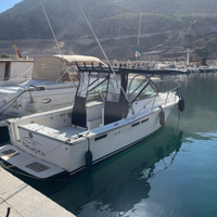 Tiara 27 in permuta o vendita