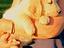 Immagine 6