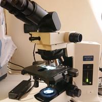 Microscopio Olympus BX51TF