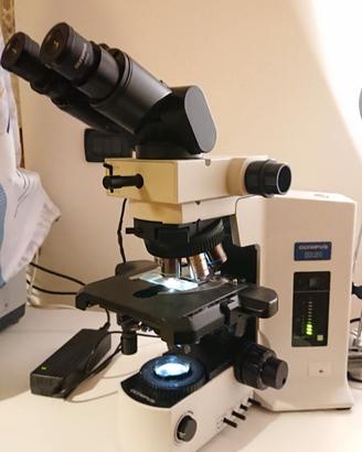 Microscopio Olympus BX51TF