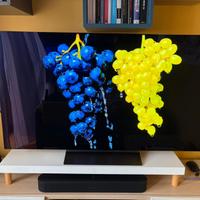 TV 55 pollici LG OLED evo AI C4 4K