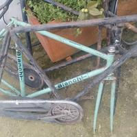 Bici da collezione