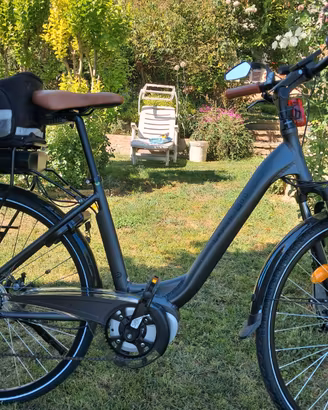 Bicicletta a pedalata assistita