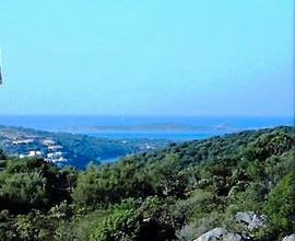 Vicino Golfo di Marinella Golfo Aranci Olbia