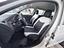 Immagine 7