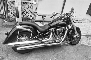 Wildstar 1600 perfetta