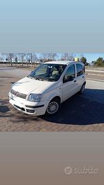 Fiat Panda 1.2 benzina 70cv