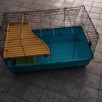 gabbia per coniglio nano 