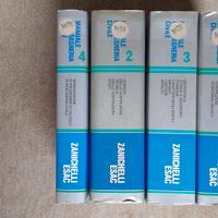 Manuale Ingegneria Civile Zanichelli-ESAC 2a ed