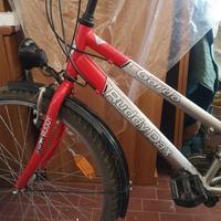 Bicicletta da donna 21 velocità 