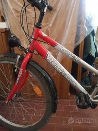 Bicicletta da donna 21 velocità 