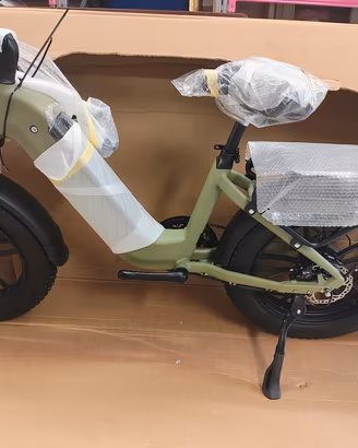bici elettrica
