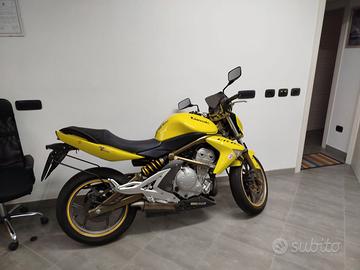 Kawasaki ER6N