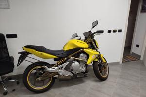 Kawasaki ER6N