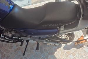 honda transalp 