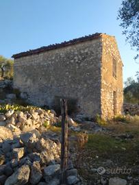 Uliveto con rudere urbano accatastato